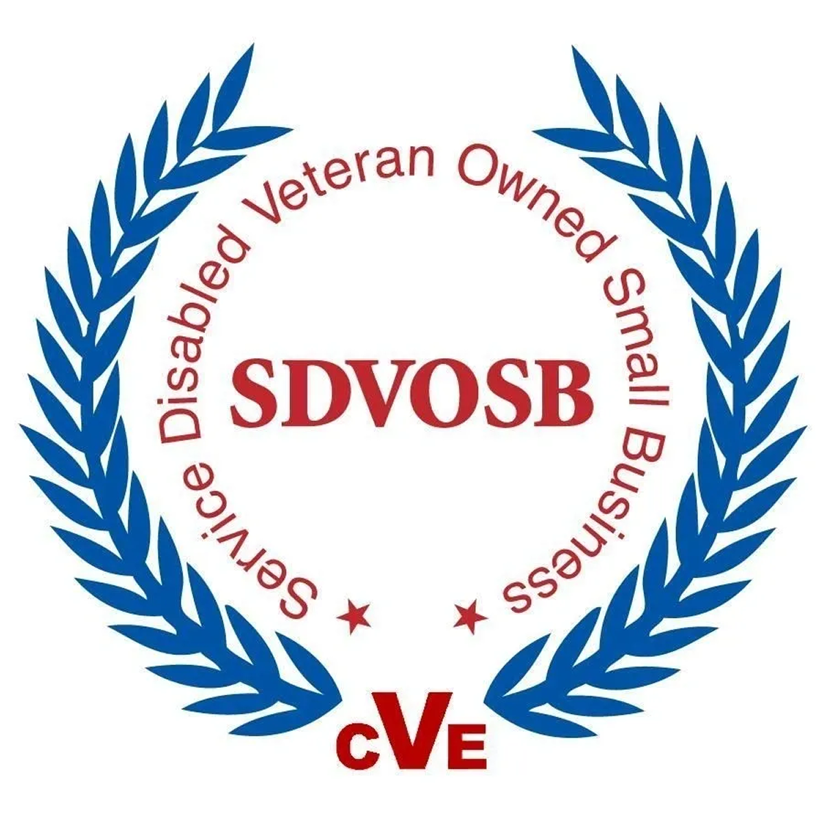 SDVOSB - Service-Disabled Veteran-Owned Small Business